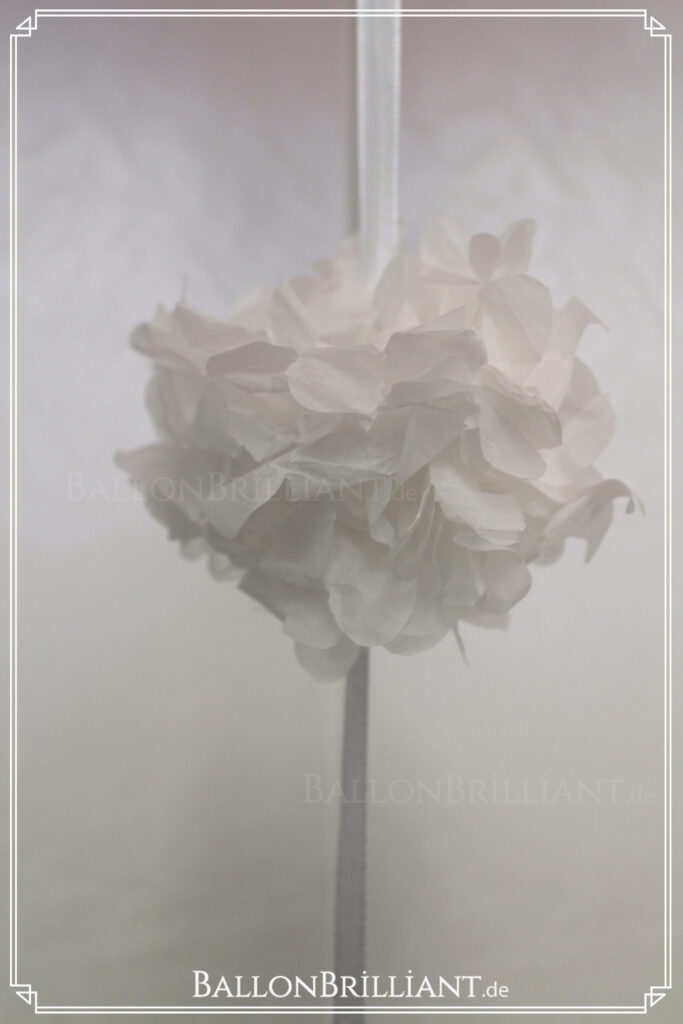 BallonBrilliant Abhol-Katalog Online