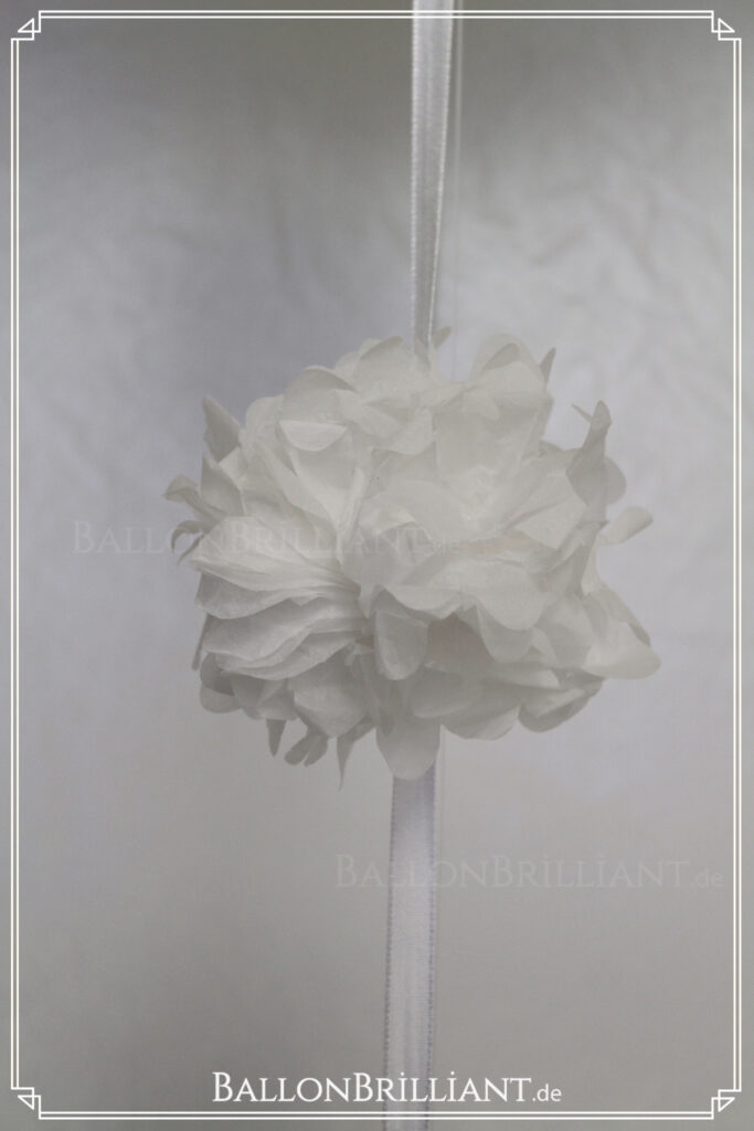 BallonBrilliant Abhol-Katalog Online