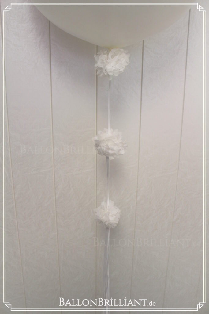 BallonBrilliant Abhol-Katalog Online