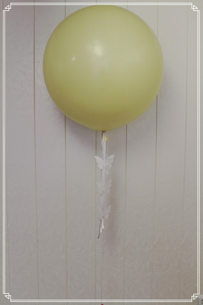 BallonBrilliant Abhol-Katalog Online