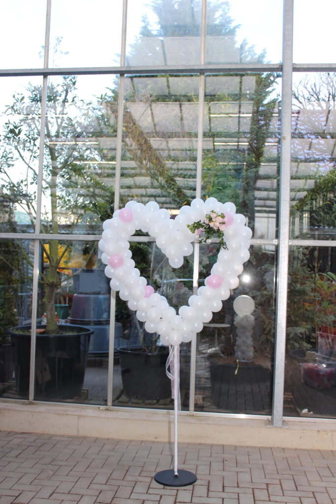 BallonBrilliant Abhol-Katalog Online