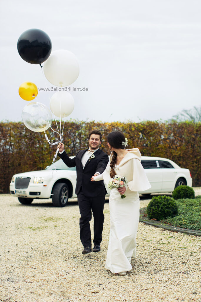 BallonBrilliant Abhol-Katalog Online