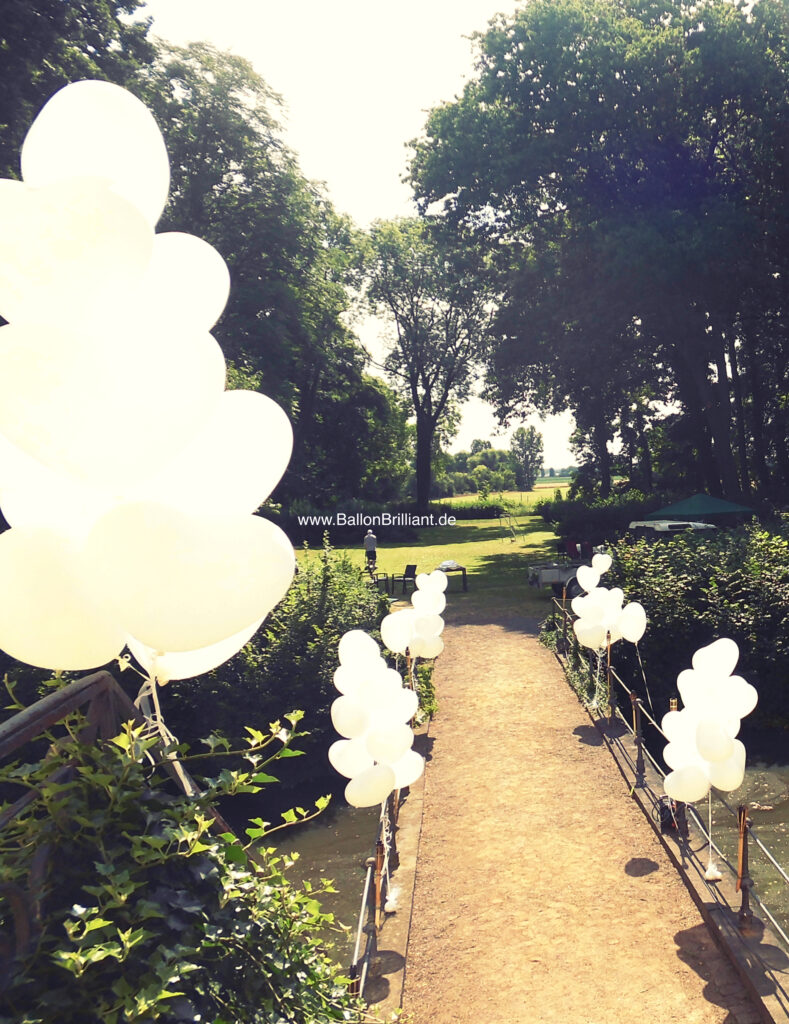 BallonBrilliant Abhol-Katalog Online