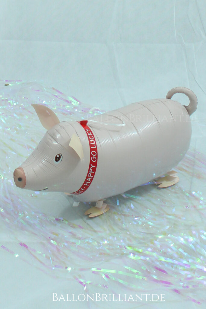 BallonBrilliant Abhol-Katalog Online