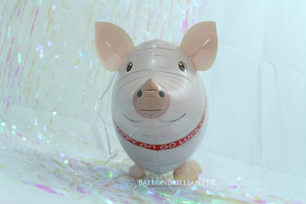 BallonBrilliant Abhol-Katalog Online