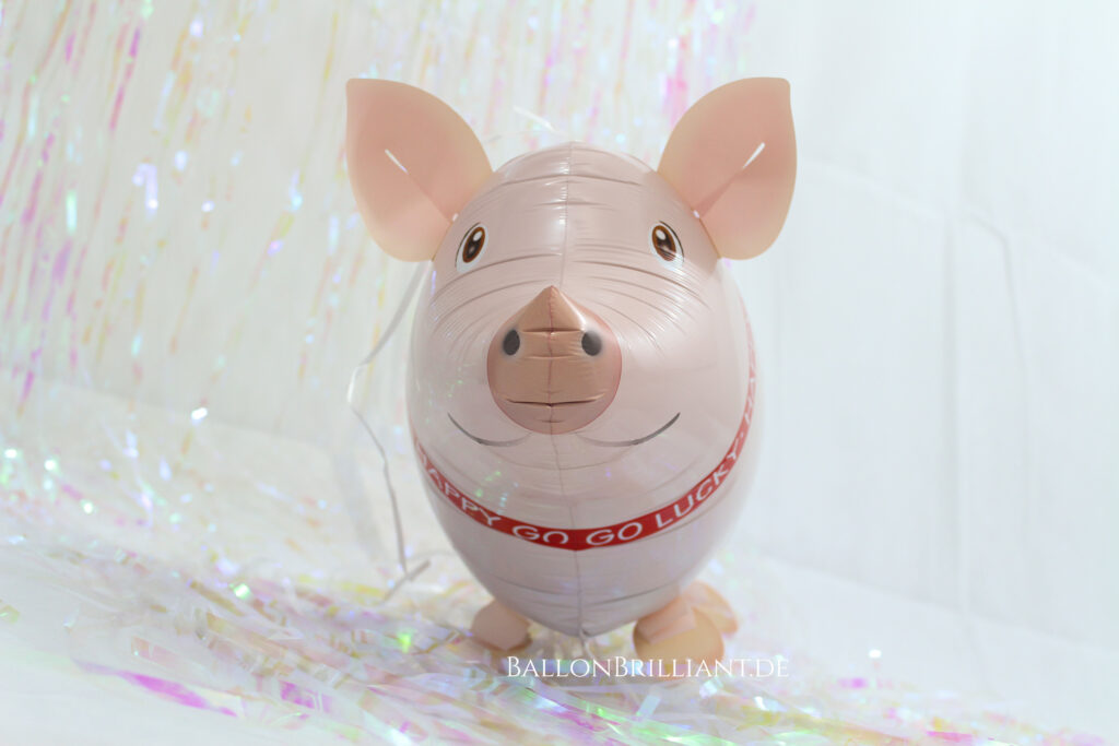 BallonBrilliant Abhol-Katalog Online