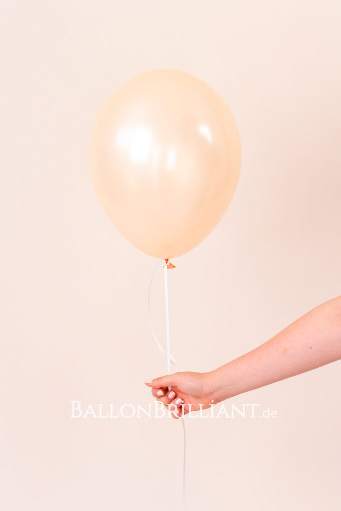 BallonBrilliant Abhol-Katalog Online