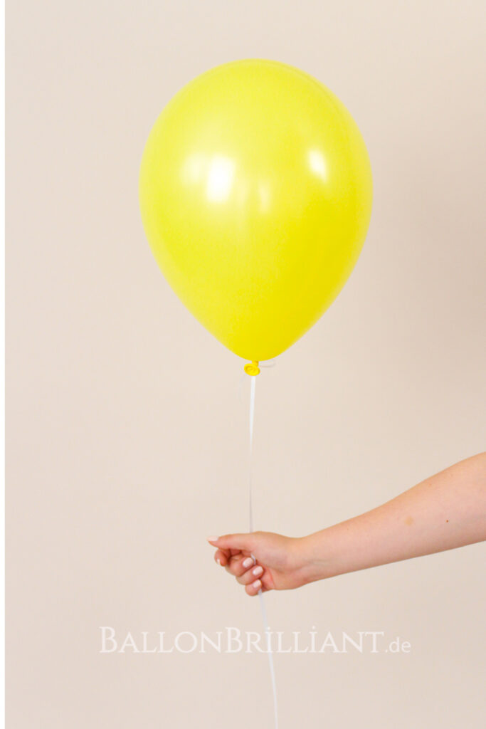 BallonBrilliant Abhol-Katalog Online