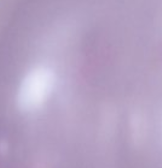 BallonBrilliant Abhol-Katalog Online