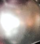 BallonBrilliant Abhol-Katalog Online