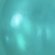 BallonBrilliant Abhol-Katalog Online