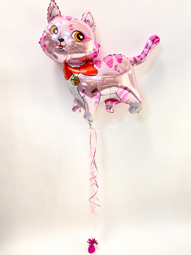 BallonBrilliant Abhol-Katalog Online