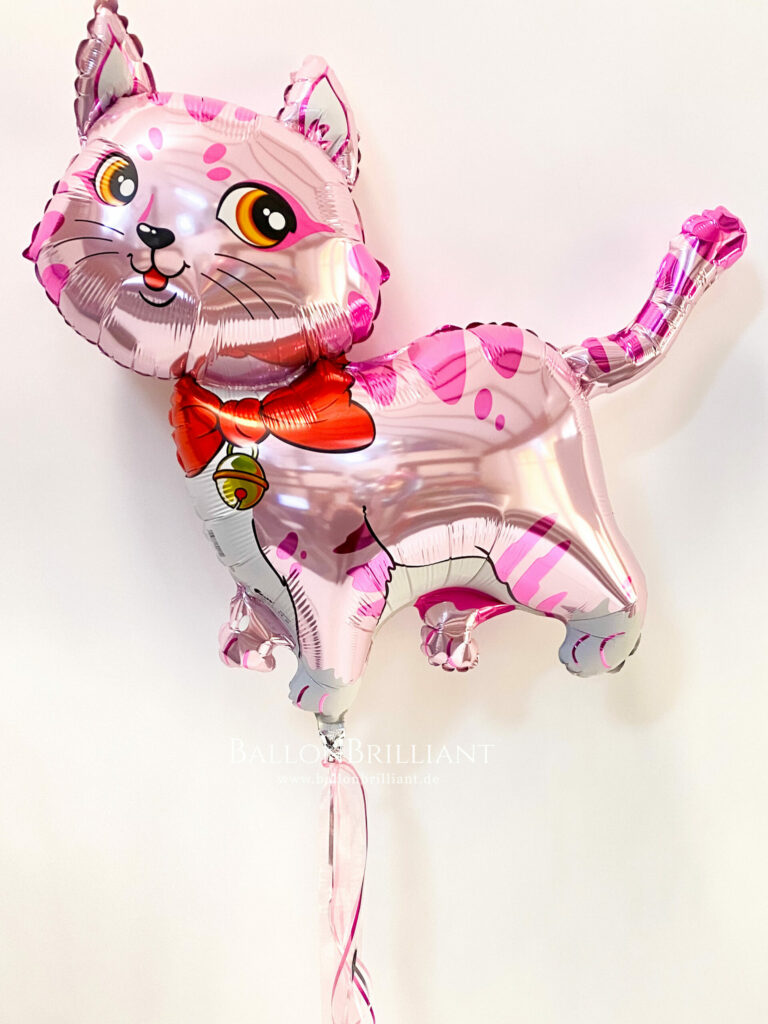 BallonBrilliant Abhol-Katalog Online