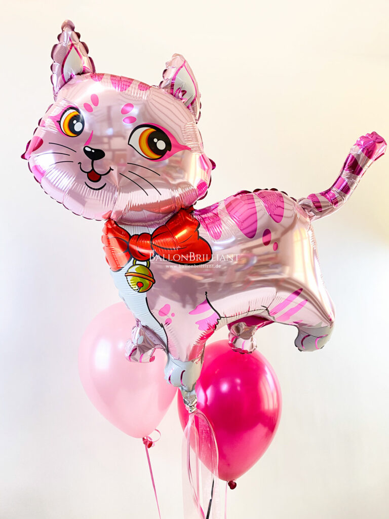 BallonBrilliant Abhol-Katalog Online