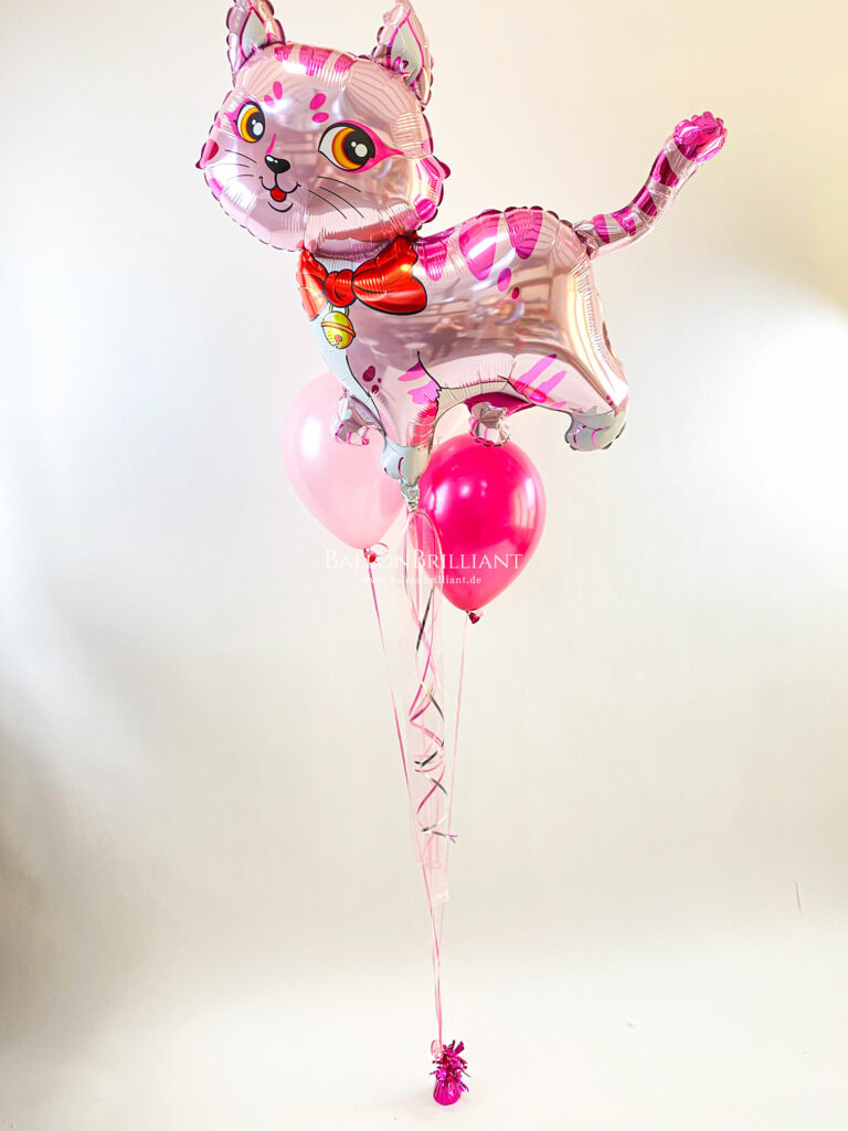 BallonBrilliant Abhol-Katalog Online