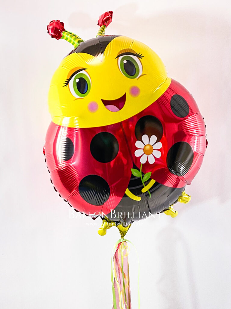 BallonBrilliant Abhol-Katalog Online