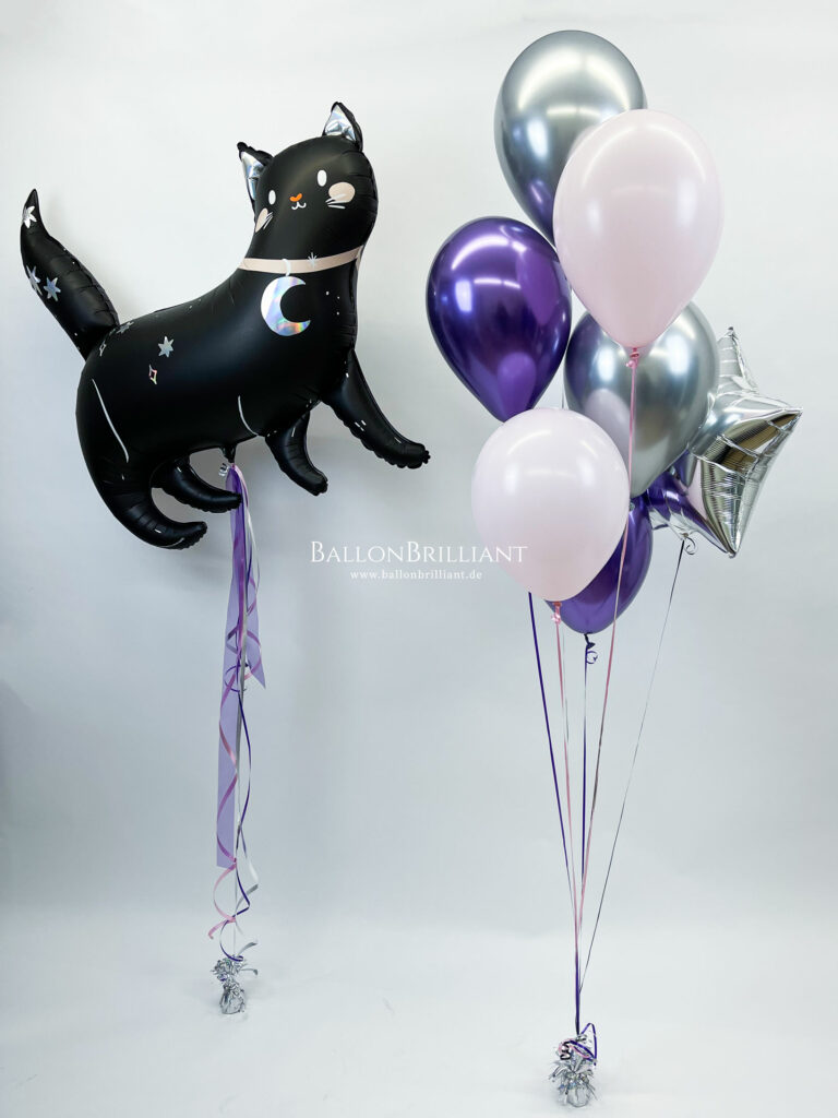 BallonBrilliant Abhol-Katalog Online