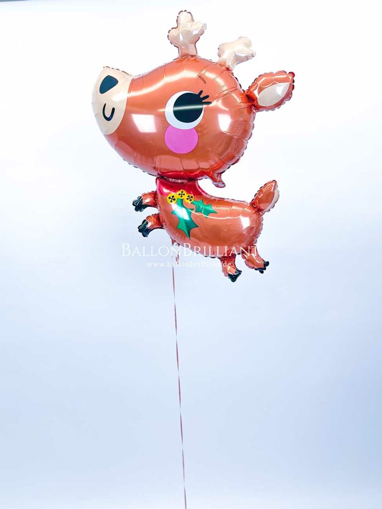 BallonBrilliant Abhol-Katalog Online