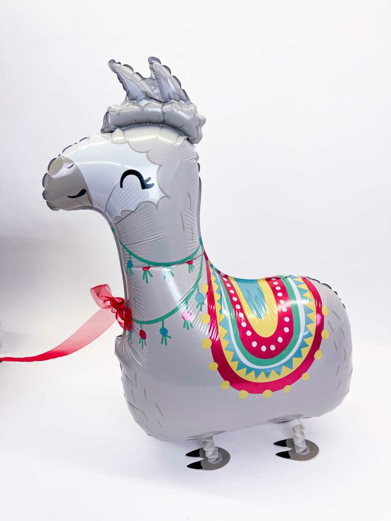 BallonBrilliant Abhol-Katalog Online