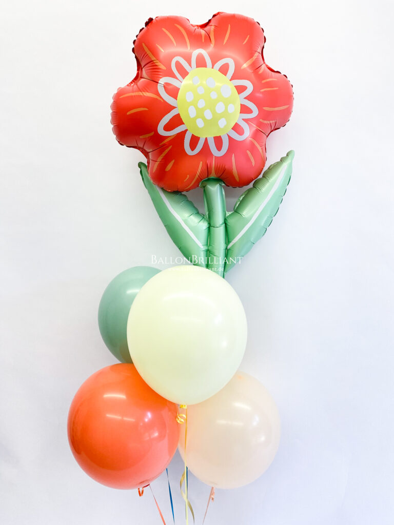 BallonBrilliant Abhol-Katalog Online