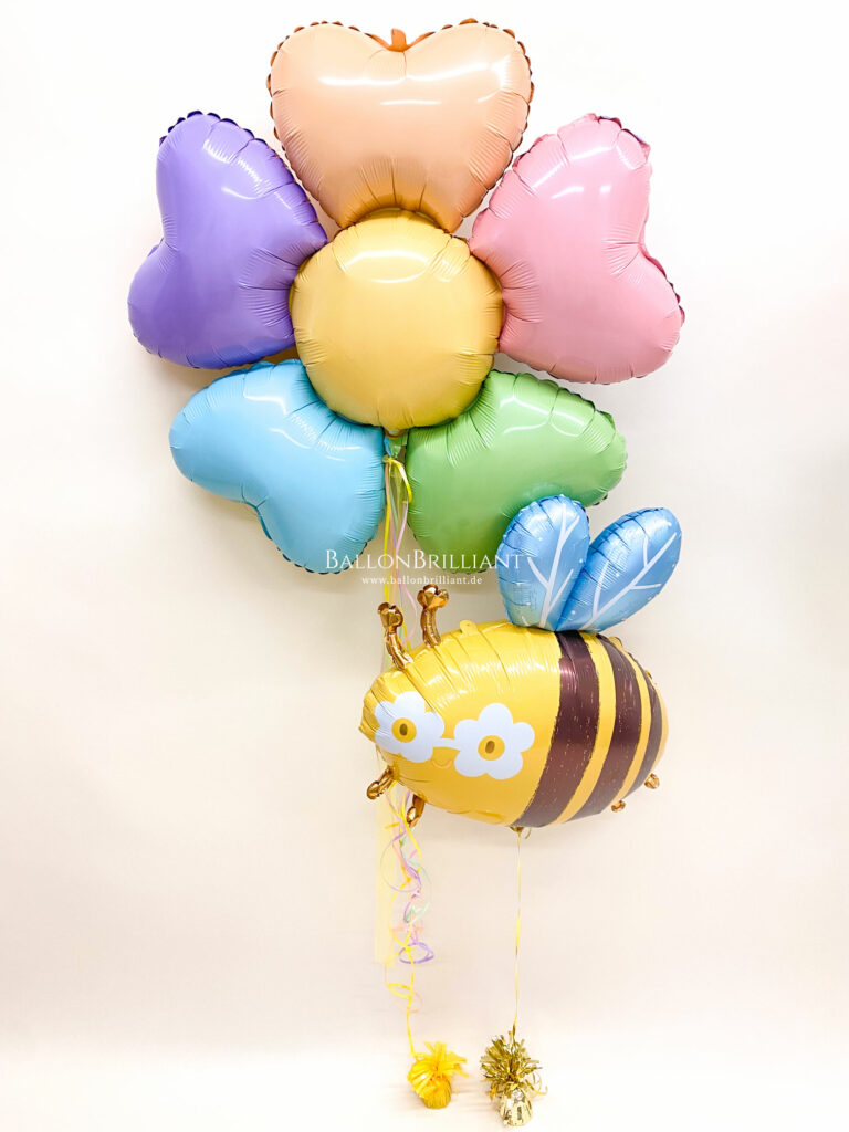 BallonBrilliant Abhol-Katalog Online