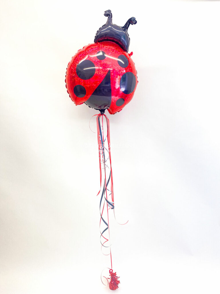 BallonBrilliant Abhol-Katalog Online