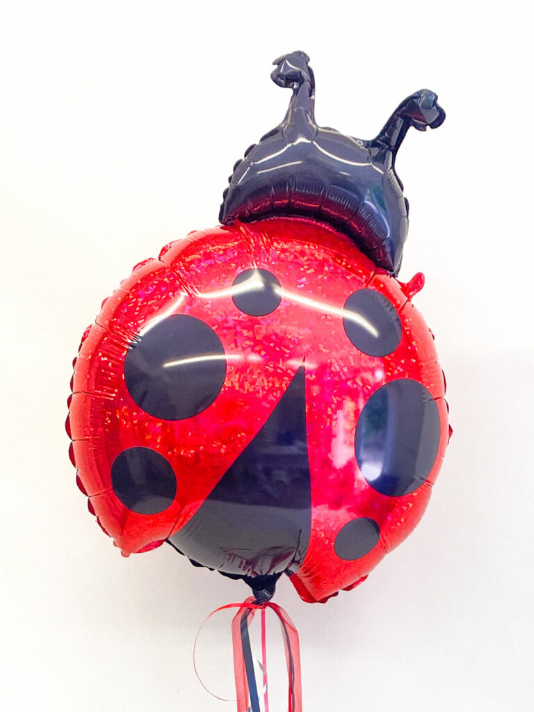 BallonBrilliant Abhol-Katalog Online