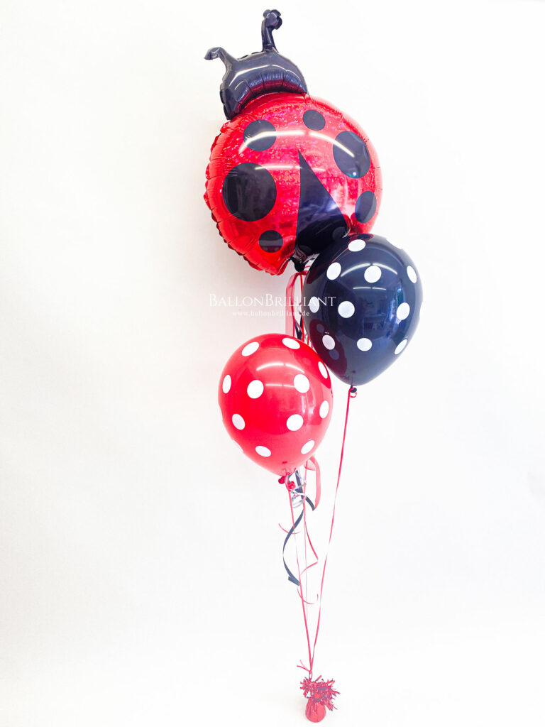 BallonBrilliant Abhol-Katalog Online