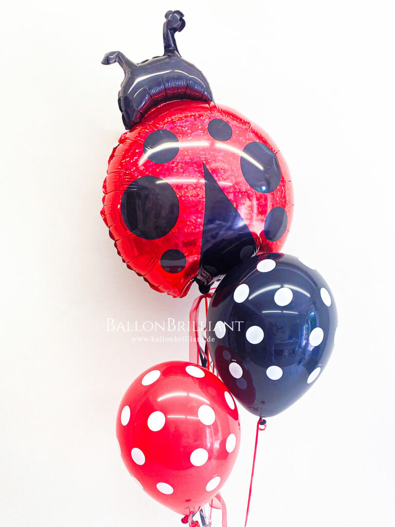 BallonBrilliant Abhol-Katalog Online