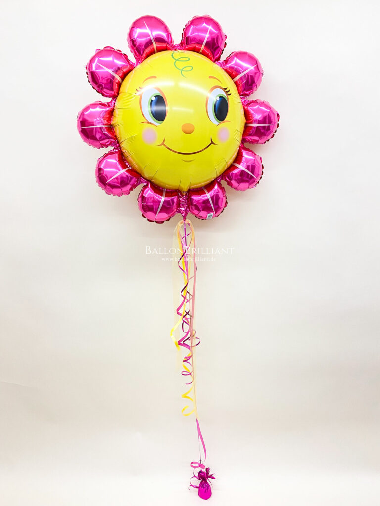 BallonBrilliant Abhol-Katalog Online