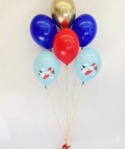 Ballonstrauß Flugzeug