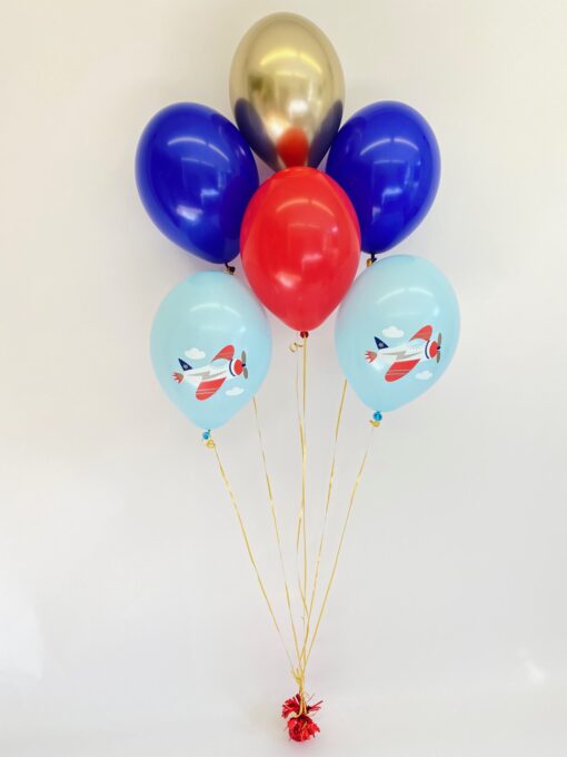 Ballonstrauß Flugzeug