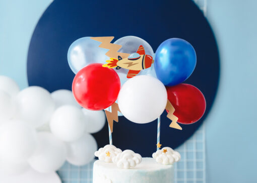 Kuchentopper "Flugzeug Collection"