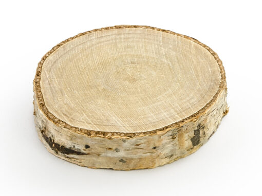 Holzscheiben für Deko oder Visitenkarten (Kleine Waldfreunde Collection)