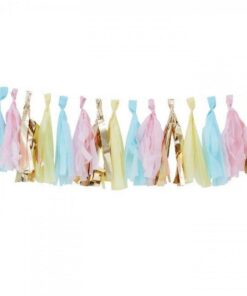 Tassel-Girlande "Gender Reveal"